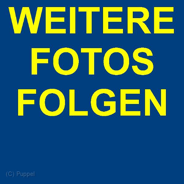 Z_WEITERE FOTOS FOLGEN.jpg